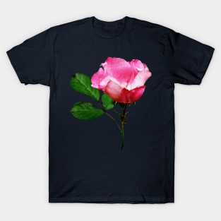 Roses - Pale Pink Rosebud T-Shirt